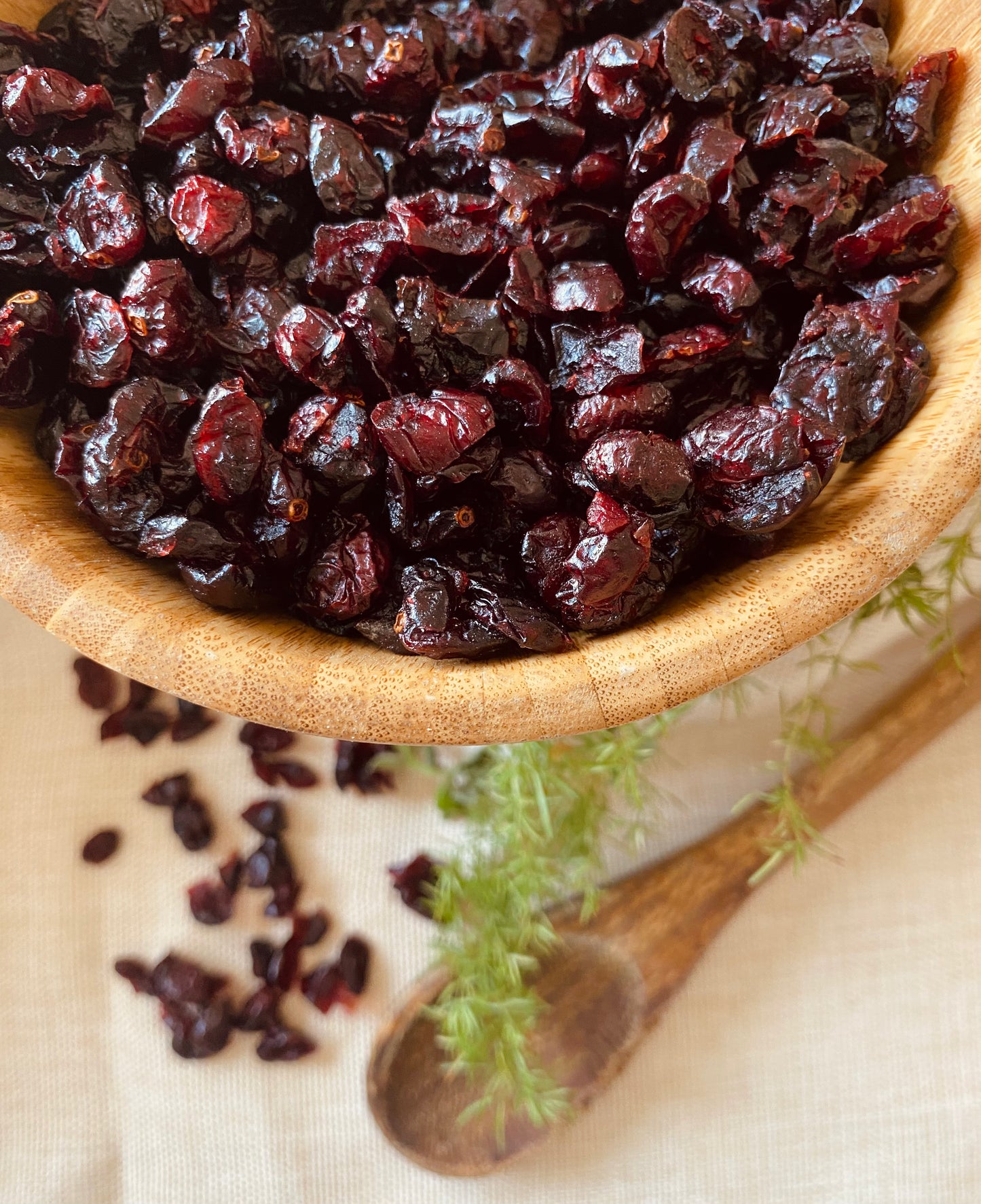CRANBERRY
