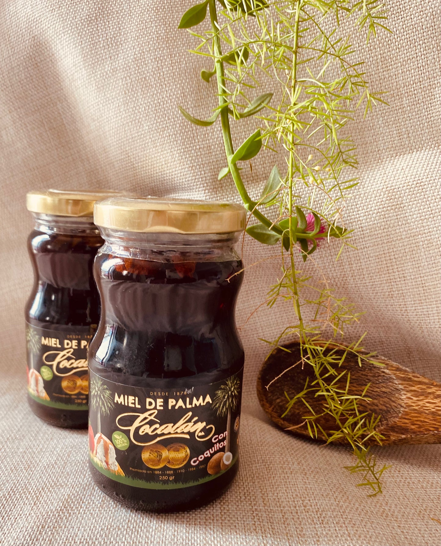 MIEL DE PALMA 250 grs con coquitos