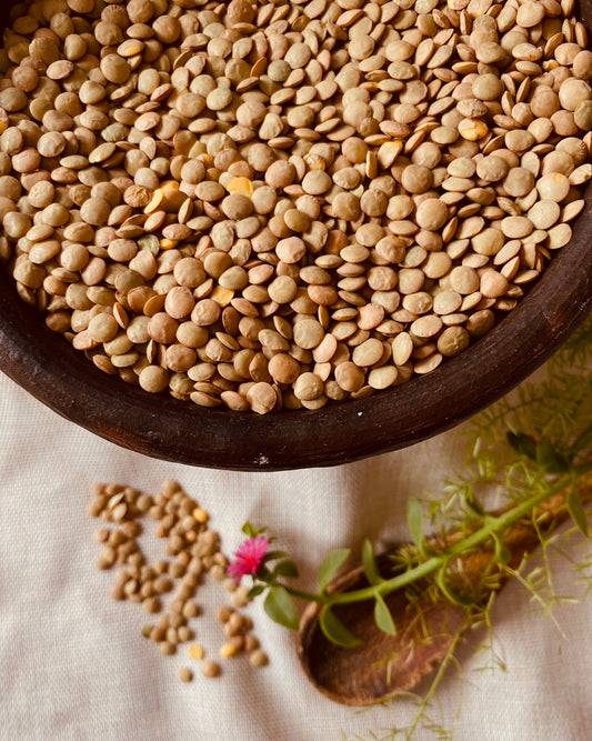 LENTEJA 1 KG